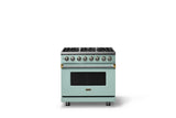 36"W. Dual Fuel Range (Burner: 6b, Finish: Splash, Trim: Brushed Brass, Fuel: Natural Gas)