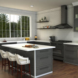 ZLINE Apollo Kitchen Faucet in Brushed Nickel (APL-KF-BN)