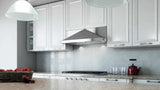 30" CCC 600/395 CFM Undercabinet Hood Stainless