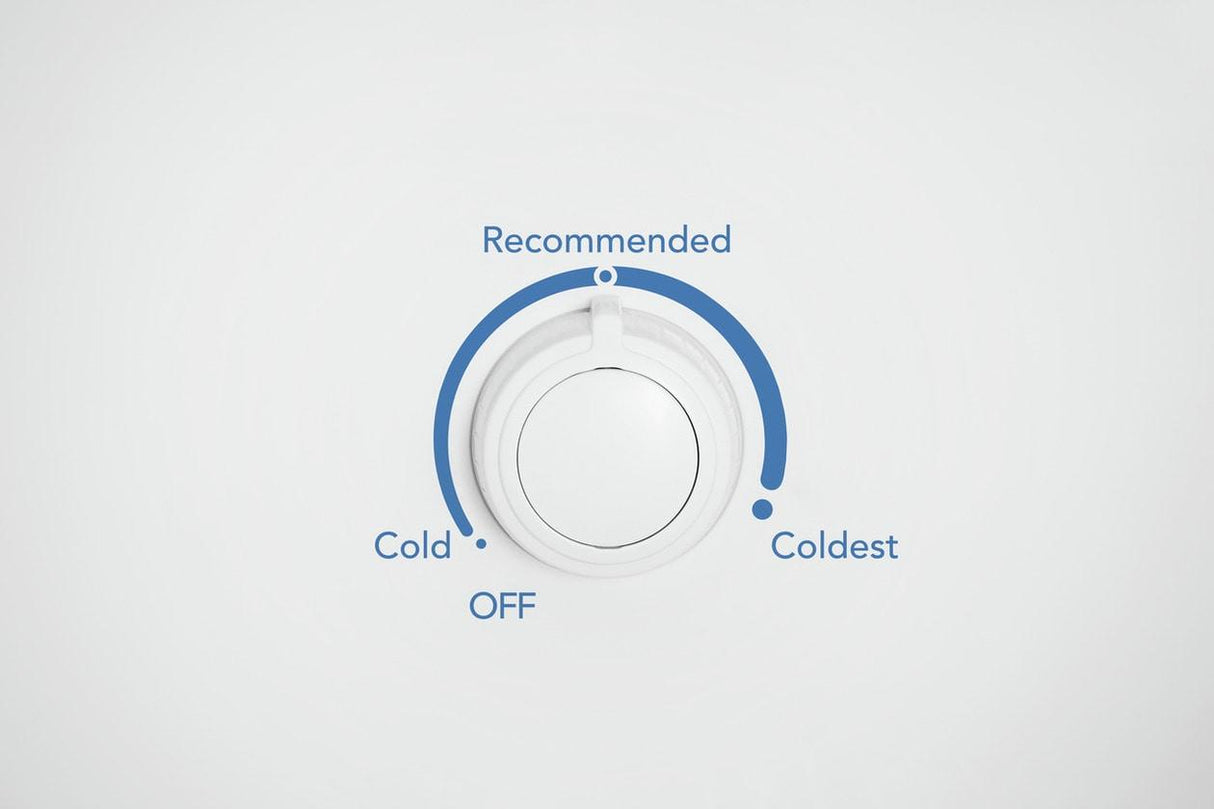 16 Cu. Ft. Garage Ready Upright Freezer