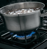 GE® 30" Free-Standing Gas Range