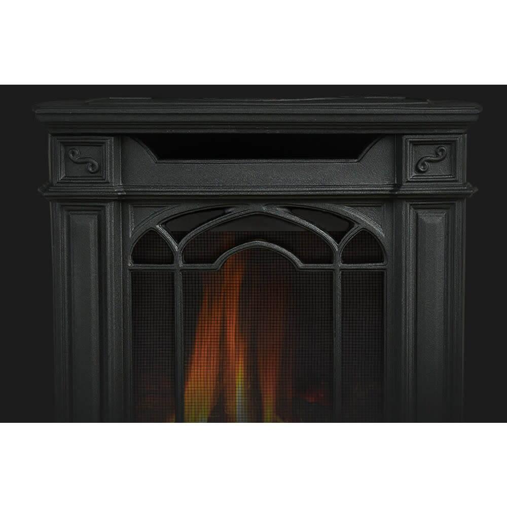 Arlington? Direct Vent Gas Stove