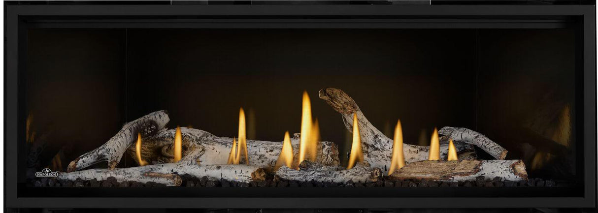 Ascent? Linear Premium 56 Direct Vent Gas Fireplace