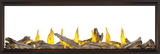 Tall Linear Vector? 74 See Through Direct Vent Gas Fireplace