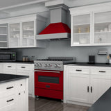 ZLINE 36 in. Professional Dual Fuel Range in DuraSnow Stainless Steel with Color Door Finishes (RAS-SN-36) [Color: Red Matte]