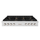 ZLINE 48 in. Paramount Gas Rangetop with 8 Brass Burners and Porcelain Cooktop in DuraSnow' Stainless Steel (SRTS-BR-48)