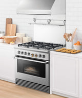 36" Series 9 Professional Dual Fuel 6 Burner Range