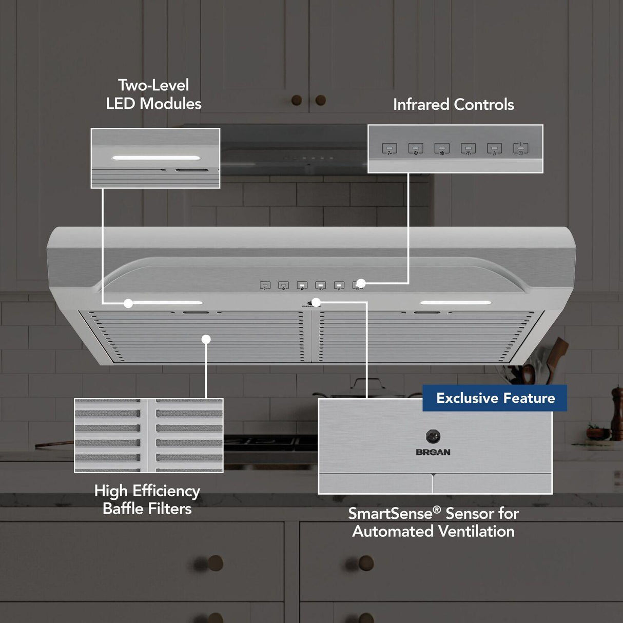 Alta 30-Inch 490 MAX Blower CFM 1.1 Sones Stainless Steel Range Hood