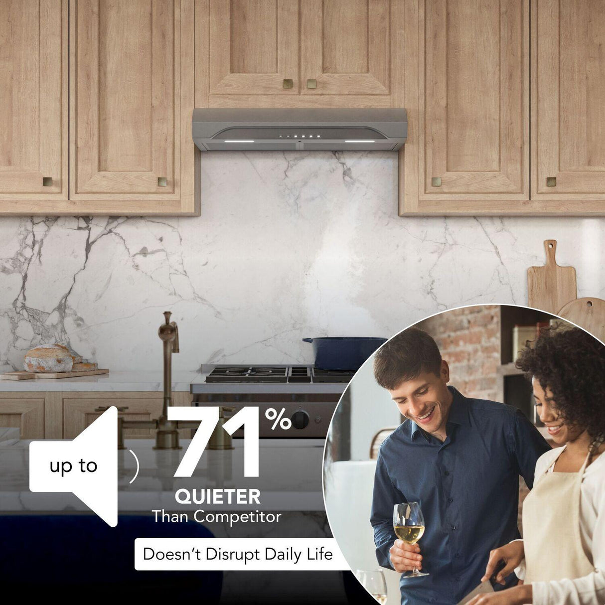 Alta 30-Inch 490 MAX Blower CFM 1.1 Sones Stainless Steel Range Hood