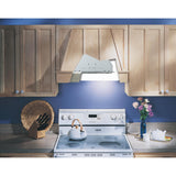 **DISCONTINUED** Broan® 20.5-Inch Custom Range Hood Power Pack, 440 Max Blower CFM, Silver Finish