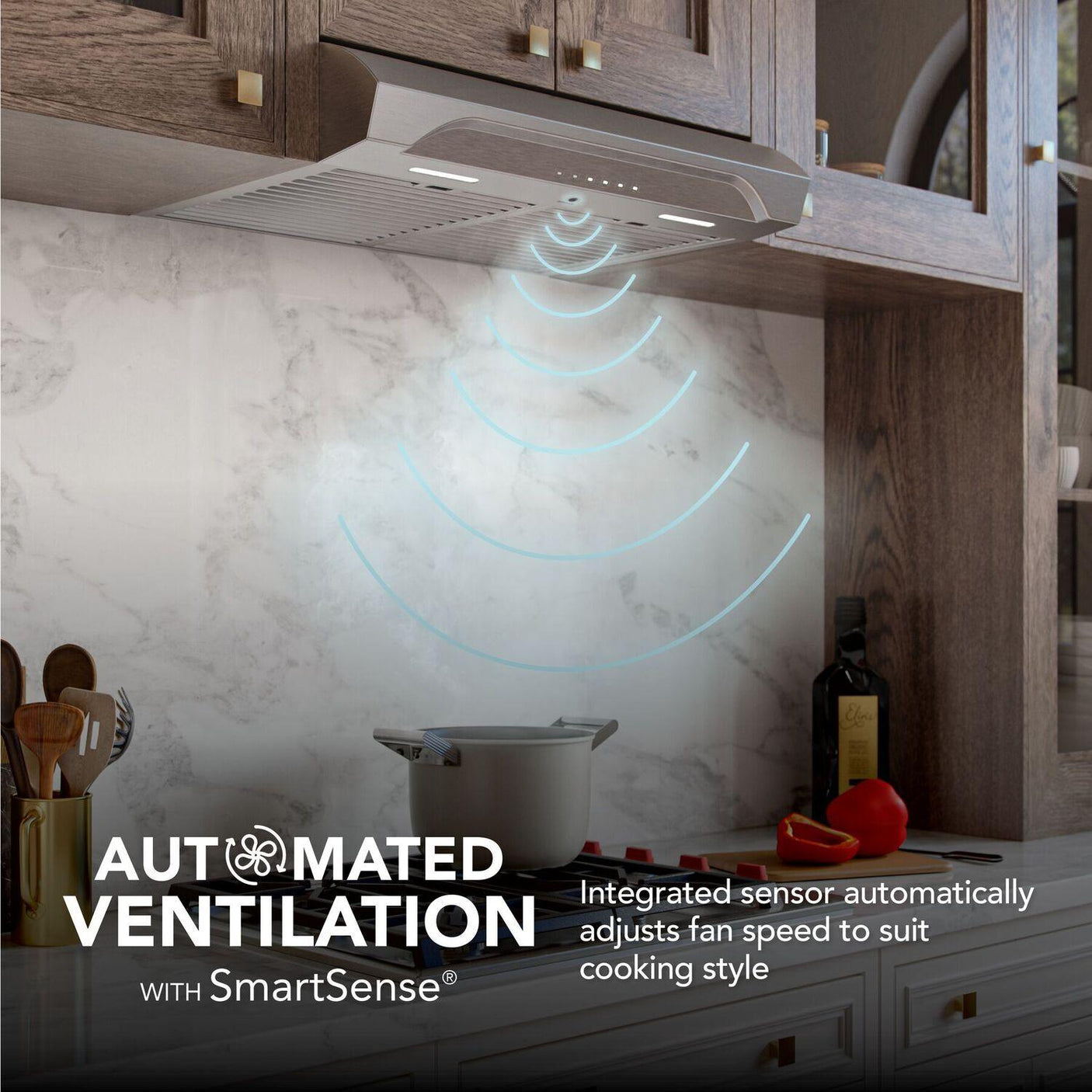 Alta 30-Inch 640 MAX Blower CFM 0.8 Sones Stainless Steel Range Hood