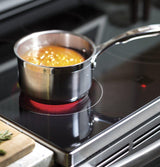 GE Profile™ 30" Free-Standing Electric Double Oven Convection Range