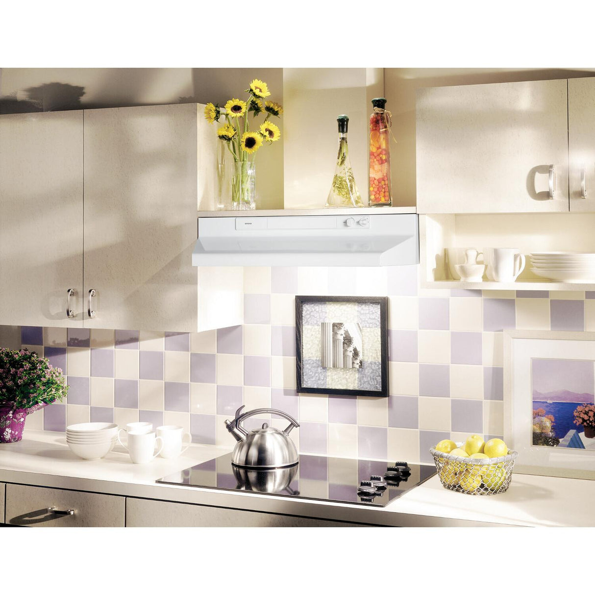 Broan® 30-Inch Convertible Under-Cabinet Range Hood, 220 CFM, White