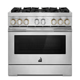 RISE™ 36" Dual-Fuel Professional Range