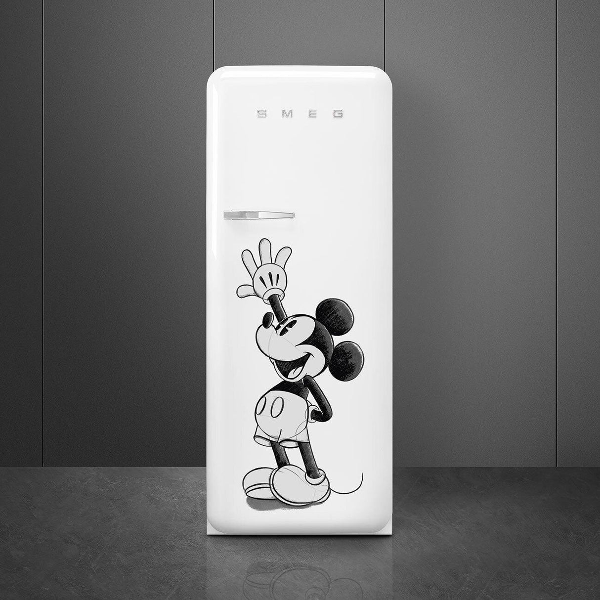 Refrigerator Decorated / Special FAB28URDMM4