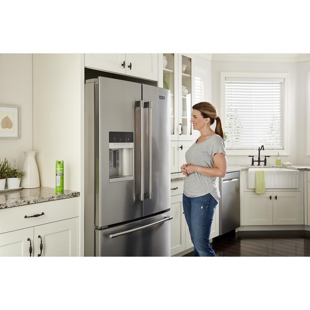 Affresh® Stainless Steel Cleaning Spray