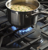 GE Profile™ 30" Smart Free-Standing Gas Convection Range with Warming Drawer