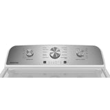4.2 Cu. Ft. Capacity Top Load Washer