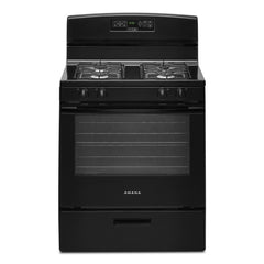 30-inch Gas Range with Bake Assist Temps