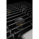 NOIR™ 36" Dual-Fuel Professional Range