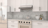 42" x 10" under cabinet hood
