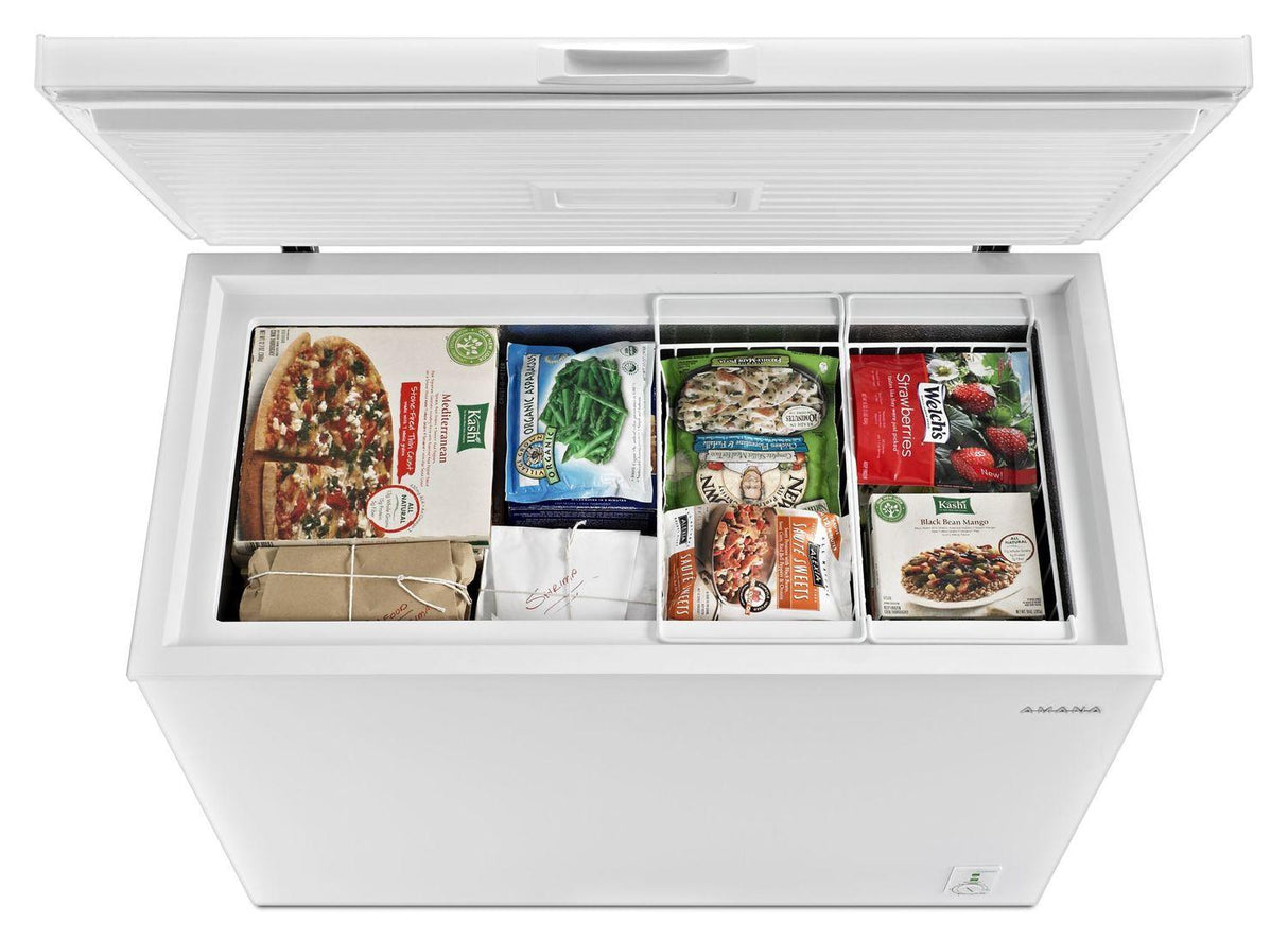 9.0 Cu. Ft. Compact Freezer with Flexible Installation White