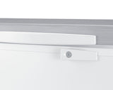 10 CU.FT. Chest Freezer