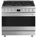 Range Stainless steel SPR36UGGX