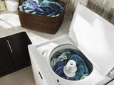 7.0 Cu. Ft. Large Capacity Dryer with Wrinkle Control