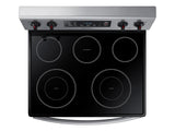 5.9 cu. ft. Freestanding Electric Range in Stainless Steel