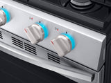 5.8 cu. ft. Freestanding Gas Range with True Convection in Stainless Steel
