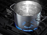 5.8 cu. ft. Slide-In Gas Range with True Convection in Black Stainless Steel