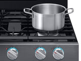 5.8 cu. ft. Freestanding Gas Range with True Convection and Steam Reheat in Black Stainless Steel