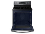 5.9 cu.ft. Freestanding Electric Range in Black Stainless Steel
