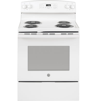 GE® 30